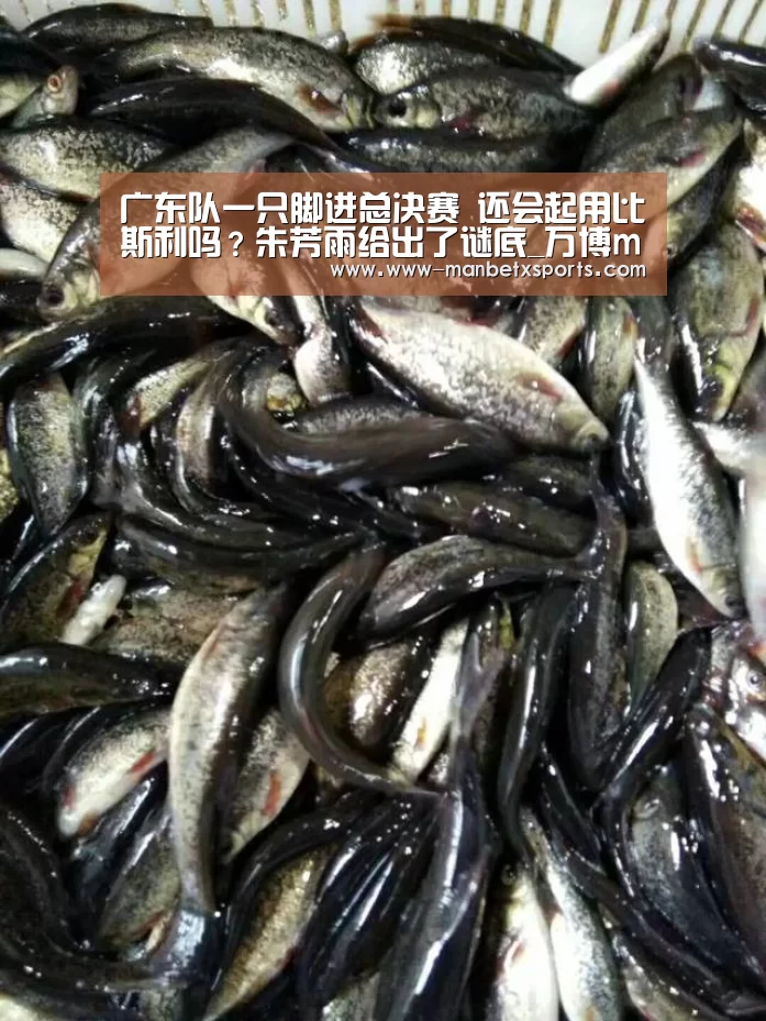 manbetx万博app下载