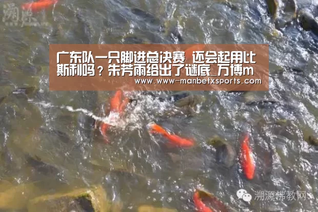 manbetx万博app下载